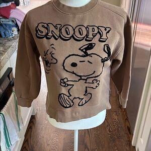 Zara Peanuts Brown Ribbed sweatshirt